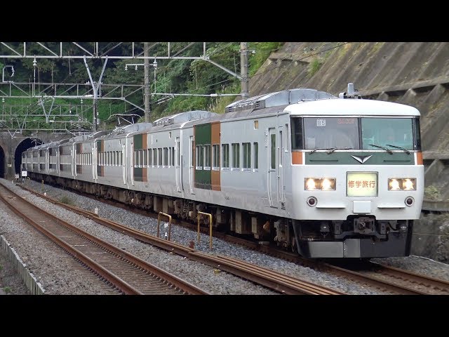 煮*物様 Bトレ 185系湘南ブロック塗装(8両) 煮*物様 Bトレ 185系湘南ブロック塗装(8両) Bトレインショー