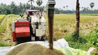 Rice Harvesting Machine | Paddy Cutting Machine | How Its Made Channel | Agriculture Machines