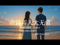命运弄人太无常 凯乐Kailer 双叶 甄选完整版 Lyrics 治愈系中文歌曲