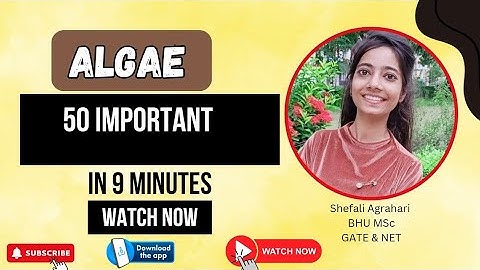 Algae Top 50 Exam Oriented Point | Shefali Ma