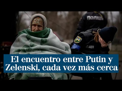 "Significativos" avances entre Ucrania y Rusia: abren la puerta a un encuentro de Putin y Zelenski