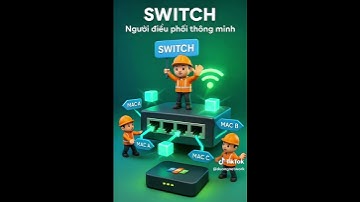 Phân biệt 3 thiết bị mạng cơ bản Hub - Switch - Router