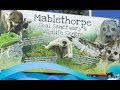 Mablethorpe  seal sanctuary 2017 vlog 40