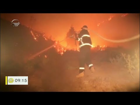 სახანძრო უსაფრთხოებაზე კონტროლი გაიზარდა