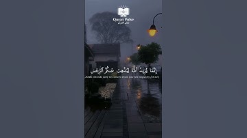 عمر سيلدينسكي | سورة الأحزاب { 33 - 34 }