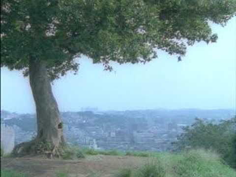 # 大切をきずくもの - CHARA