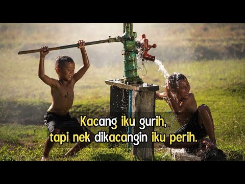 Kumpulan Quotes Jawa  1 YouTube