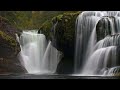 Разбор картин вебинара " Лесной водопад"