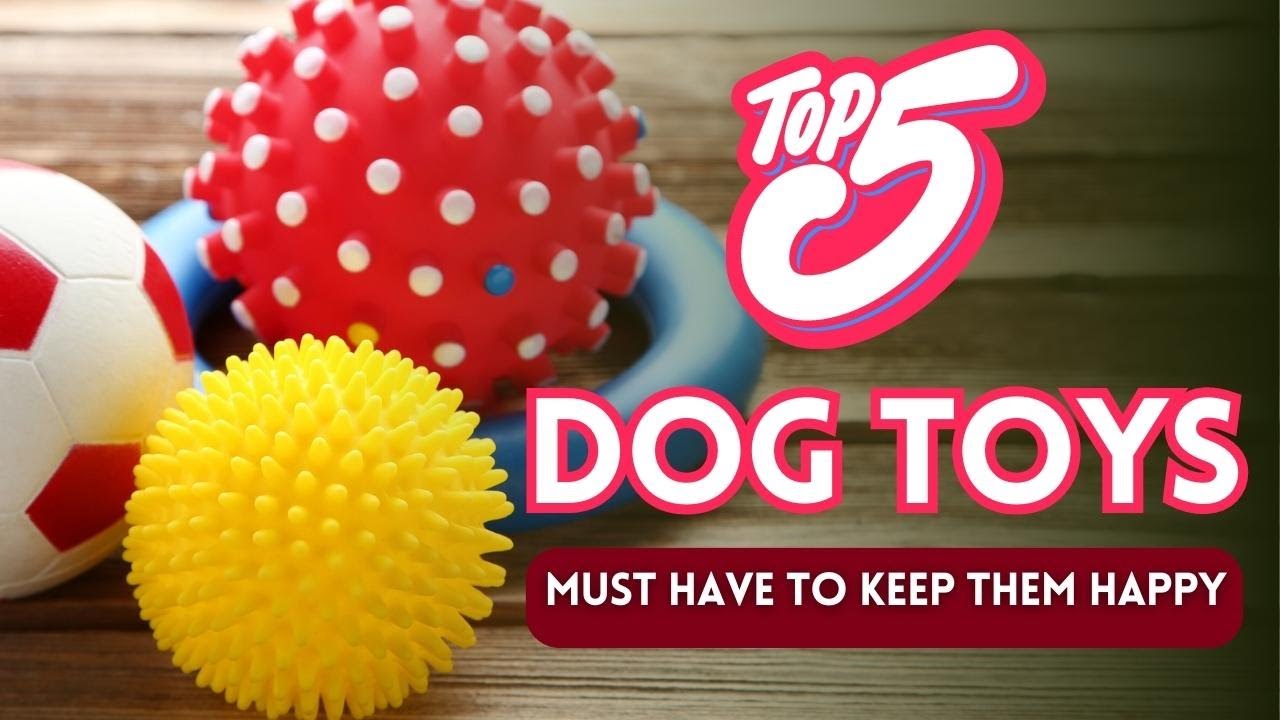 Dog Toys To Stuff With Food