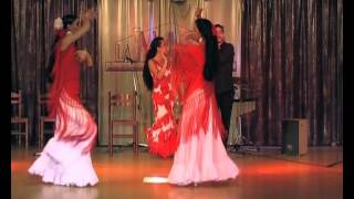 Video thumbnail of "Sevillanas Para Bailar - Su Largo Caminar - Parte 5"