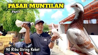 MASIH MENCARI MERPATI GIRINGAN DI PASAR MEKAR MUNTILAN MAGELANG 