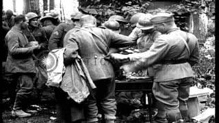US 1st Division troops process German prisoners following the Battle of Cantigny ...HD Stock Footage