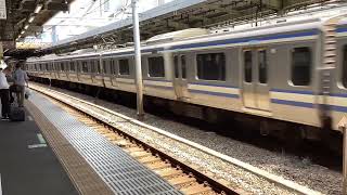 E217系横須賀総武快速線津田沼行き品川駅到着