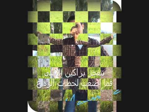مدحت صالح وداع محمود ابو عايد     