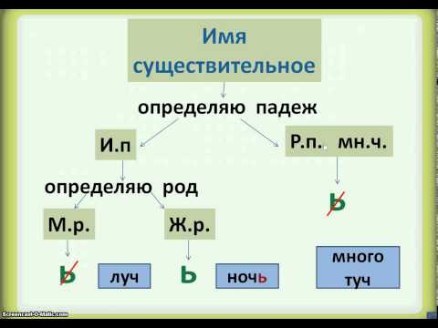 Правописание Ь после шипящих
