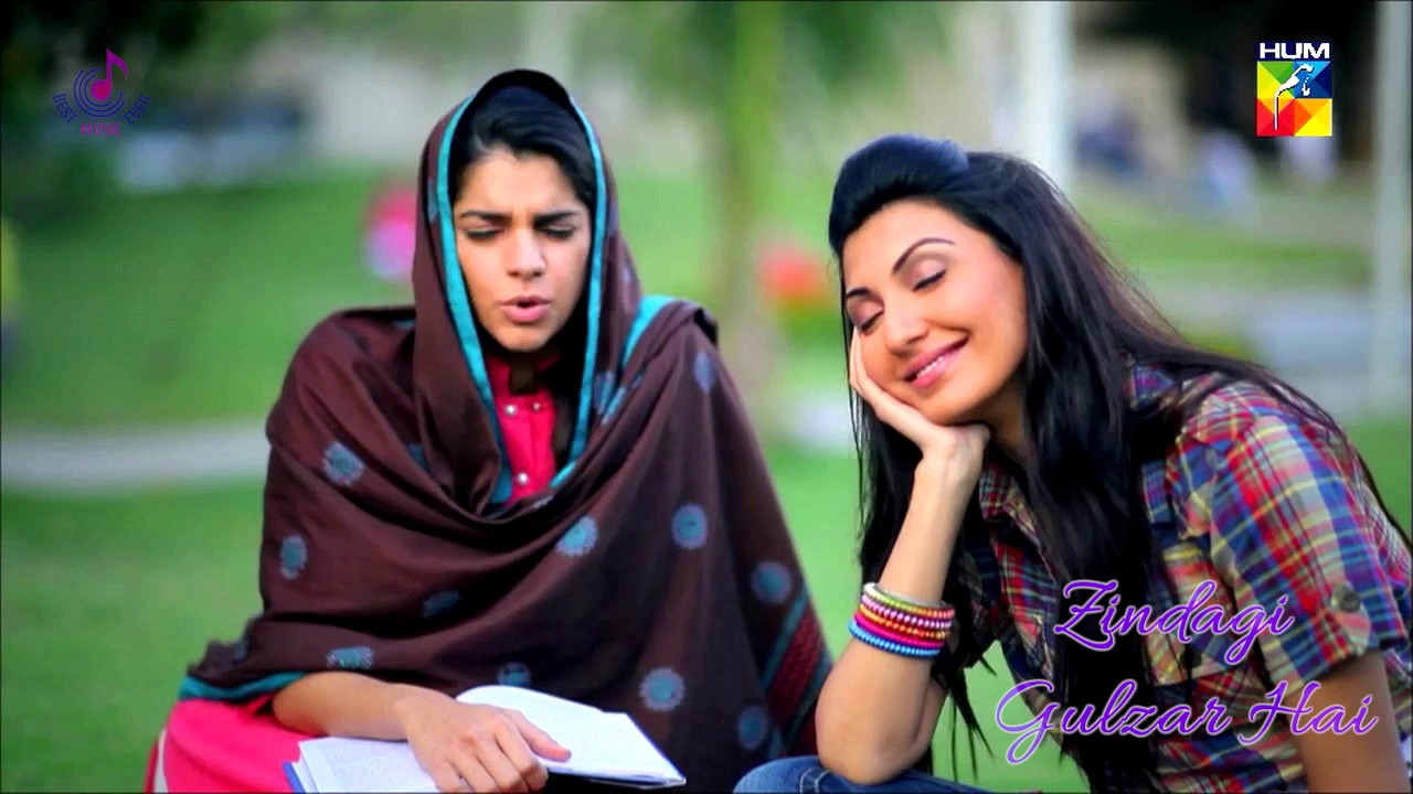 Zindagi Gulzar Hai Title Song OST  Ali Zafar  Hum TV Drama