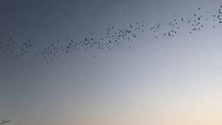 What Spectacular At Phnom Sampov