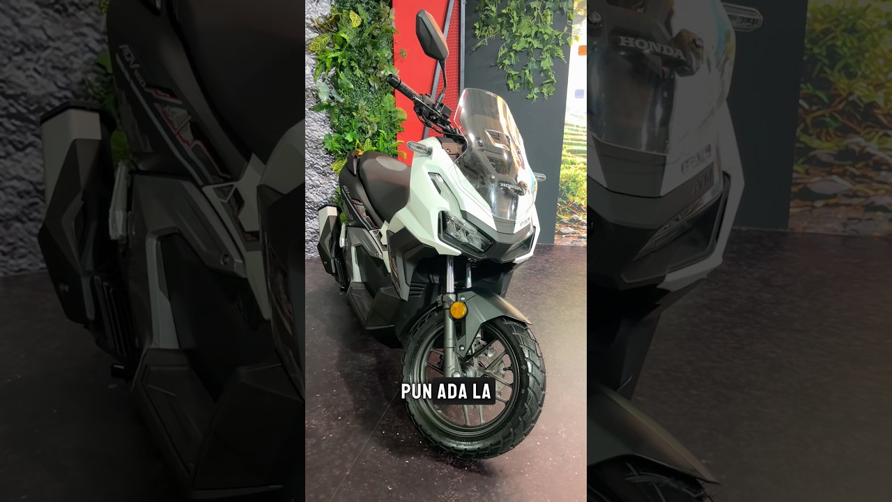 Uploads from Pandu Laju