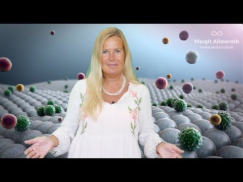 FragMargit®: Immunsystem einfach erklärt.