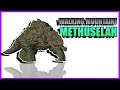 TITANUS METHUSELAH is coming! The Walking Mountain! FINALLY! | Kaiju Mayhem