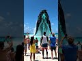 🚨 Giant Sea Creature Spotted Near Miami Beach! 😱