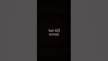 شاشة قرآن سوداء | القارئ محمد المنشاوي - سورة الحشر