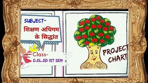 Shikshan Adhigam Ke Shidhant | D.El.Ed 1sem Practical \Project Chart