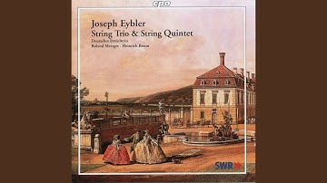 String Quintet in B-Flat Major, Op. 6 No. 1, HV 188: I. Allegro moderato