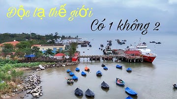 Cách Dùng Chai Nhựa Để Câu Cá Đối - Câu Cá Không Dùng Lưỡi