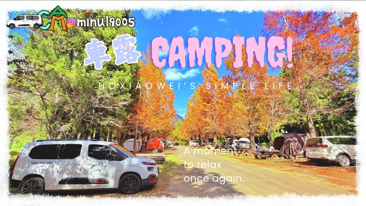 【車露旅遊62】落羽松&銀杏美翻了｜武陵農場露營區｜雪鐵龍 布丁狗｜berlingo｜Camping ｜캠핑｜キャンプ｜Taiwan |