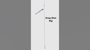 Drop Shot Rig - keeps your bait and lures off the bottom #fishing