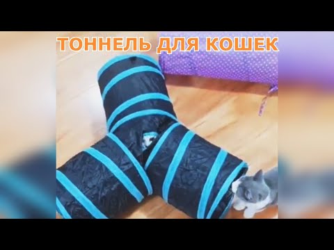 Тоннель для кошек игровой с Алиэкспресс.Игрушки для кошек  из Китая.