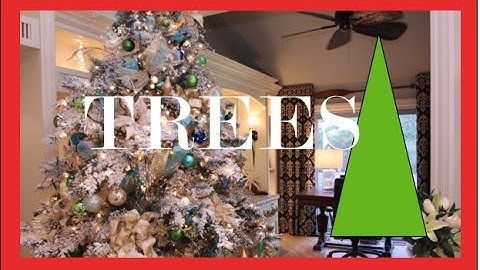 Light a Christmas Tree | Christmas Decorations