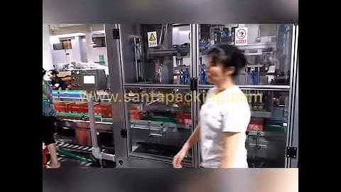 #shorts Customized Case Packer for fruit cans-Santa Pack