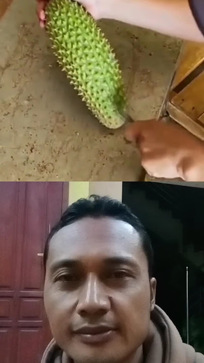 PRANK DURIAN #durian #humorsegar #fruit #lawakan #jackfruit #tertawasejenak #satisfying #funny #lucu