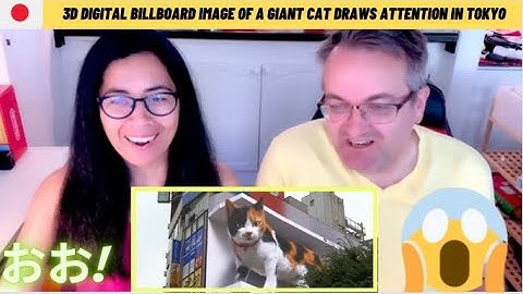3D digital billboard image of a giant cat draws attention in Tokyo- 🇩🇰-DANISH REACTION - WOW😱