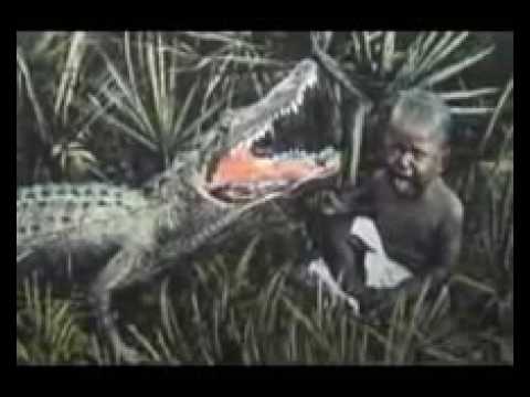 BLACK BABIES USED AS ALLIGATOR BAIT Lest we forget - YouTube