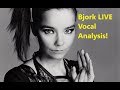 Vocal Coach ANALYZES Bjork [Vocal Health discussion]!