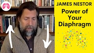 This is what the Diaphragm is for | James Nestor Breath | TAKE A DEEP BREATH CLIPS