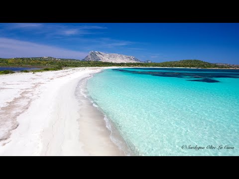 Video: Spiagge dell'Isola del Nord