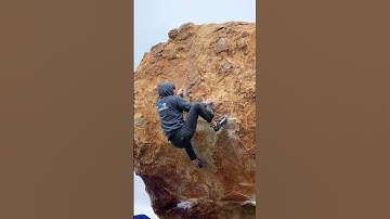 Thin Lizzy (Thin Lizzie) V8 - Joshua Tree