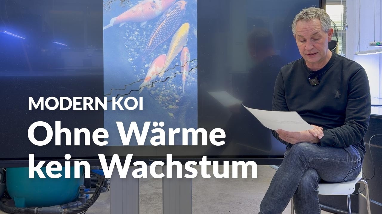 Wärmepumpe im Koiteich: so nutzt du sie richtig | Modern Koi Blog #8032