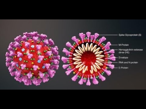 वीडियो: कौन-सी भौतिक अन्योन्य क्रिया नाभिक में न्यूक्लियंस के बंधन को निर्धारित करती है