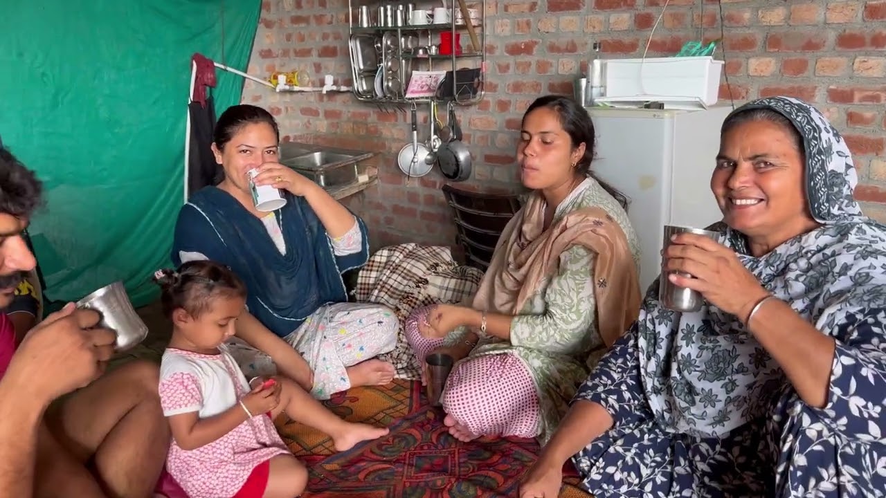 Morning routine, ajo dogs nl milawa