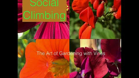 Social Climbing: The Art of Vertical Gardening with Linda Beutler