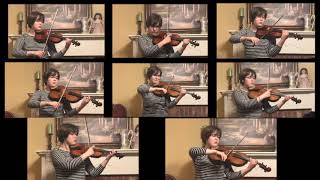 Goshintai From Your Namekimi No Na Wa--Violin And Viola Cover