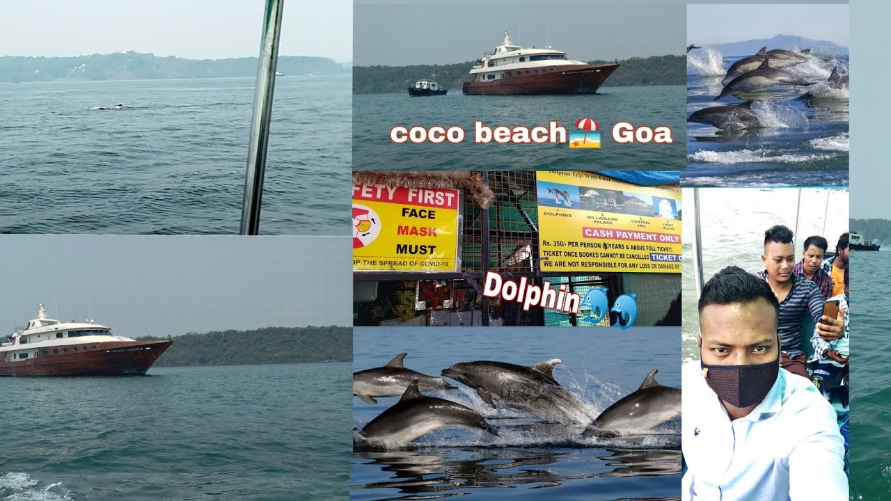 Goa, Coco Beach🏖  Dolphin🐬 Trip