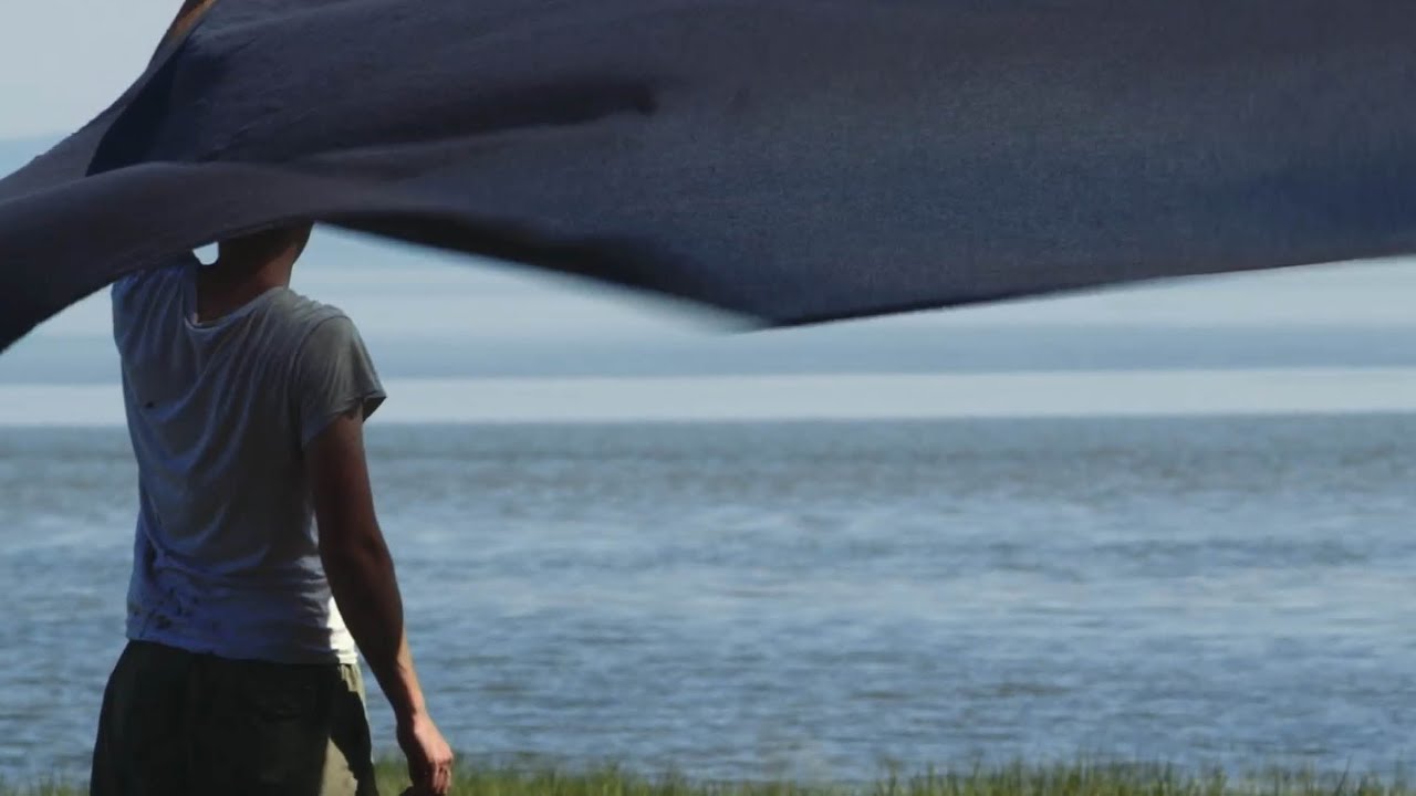 L'île aux oiseaux - Partie 2