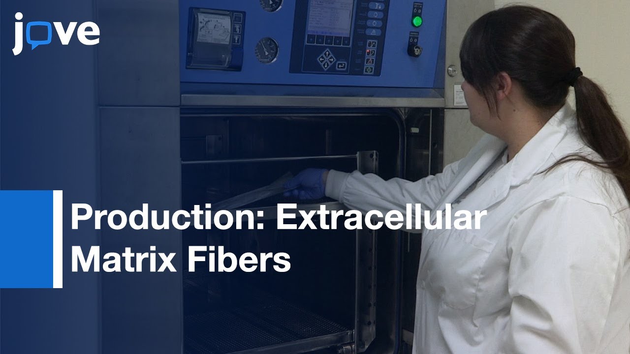 Sacrificial Hollow Fiber Membrane Cell Culture l Protocol Preview - YouTube
