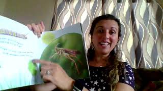 The Backyard Bug Book for Kids By Lauren Davidson